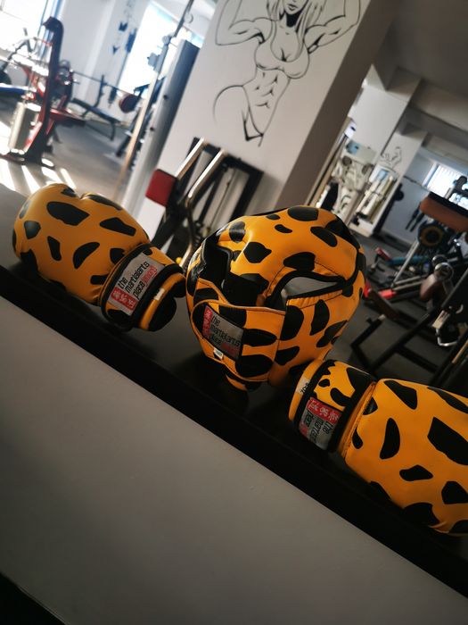 Casa și mănuși sport contact, box etc