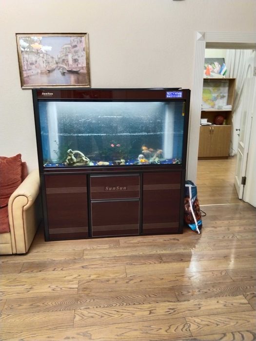 Профессиональная чистка аквариума AQUALIFE