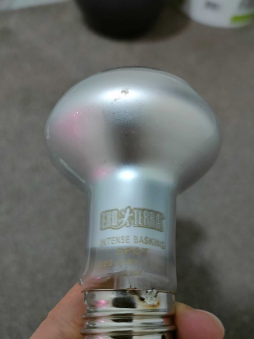 Becuri terariu basking + uvb