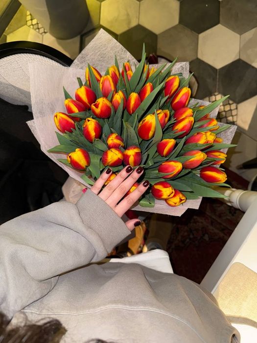 Тюльпаны голландские