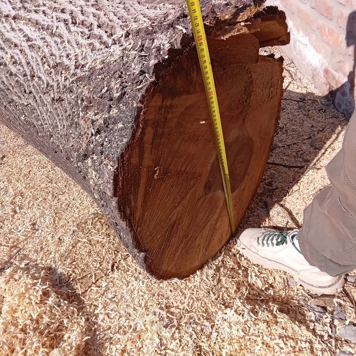 Tulpină NUC, lungime 2,50m. Preț 1600