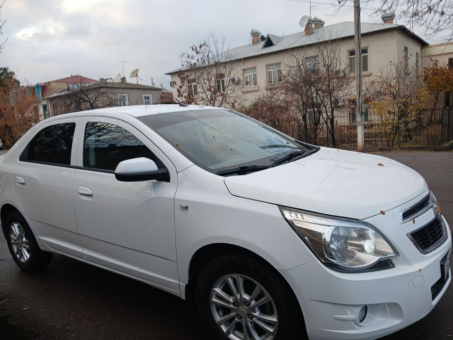 Cobalt Style Plus 2022