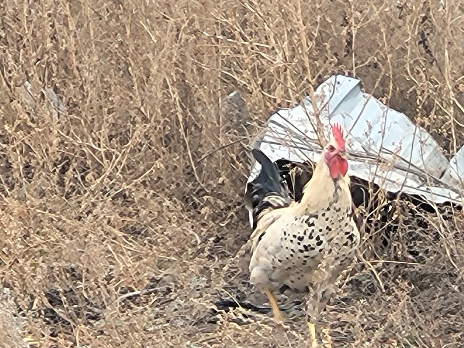 Вика мен Юраның жеке өмірі туралы порно видео