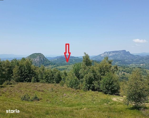 De vanzare 2 Hectare de Padure Brad Douglas Duplex Oportunitate Unica