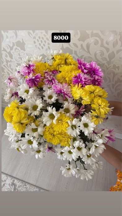 Продам цветы гул сатамын
