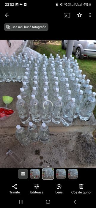 Mesteacan SEVA Mesteacan Stabilizată