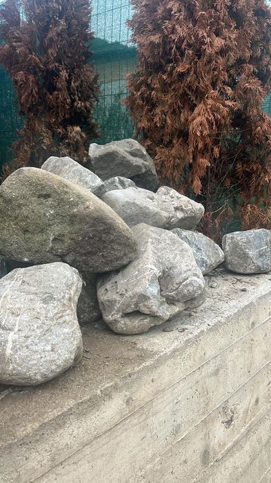 Bolovani ornamentali ideală pentru decor,  iazuri, zidari, garduri, fântâni etc