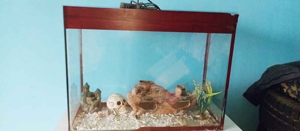 Продается аквариум