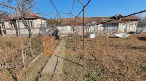 Gradina de la casa batraneasca de inchiriat