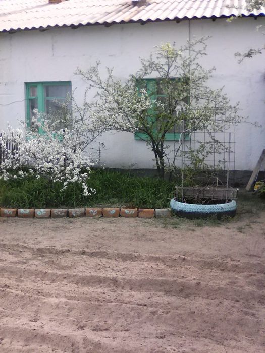 Продам дом с.Песчанка