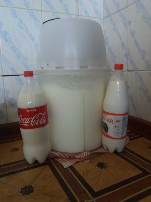 Дракуланың порно пародияларын қараңыз