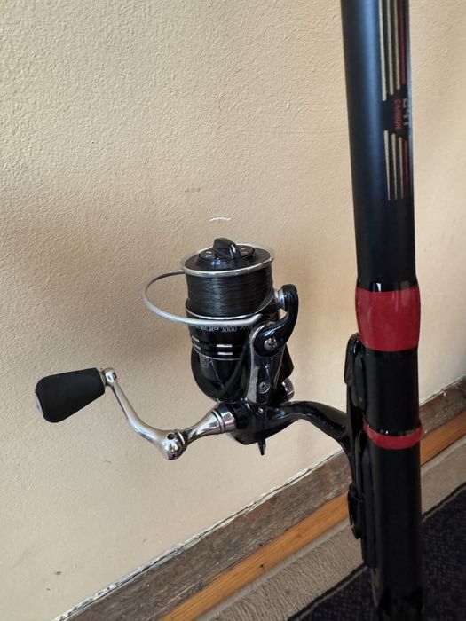 Два телемача с макари