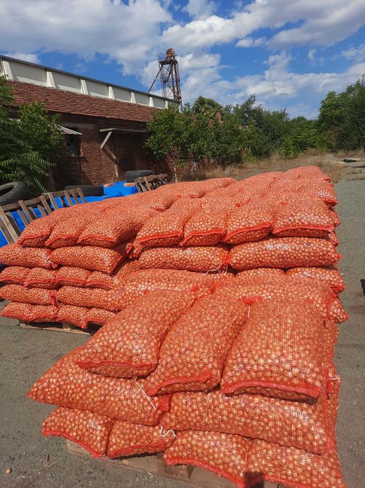 Арпаджик и Балучка