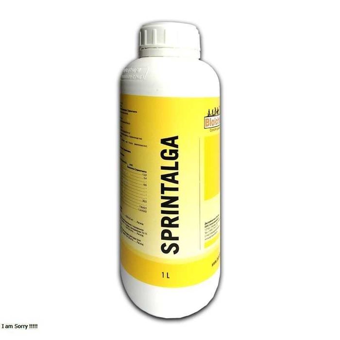 Biolchim O‘g‘itlar