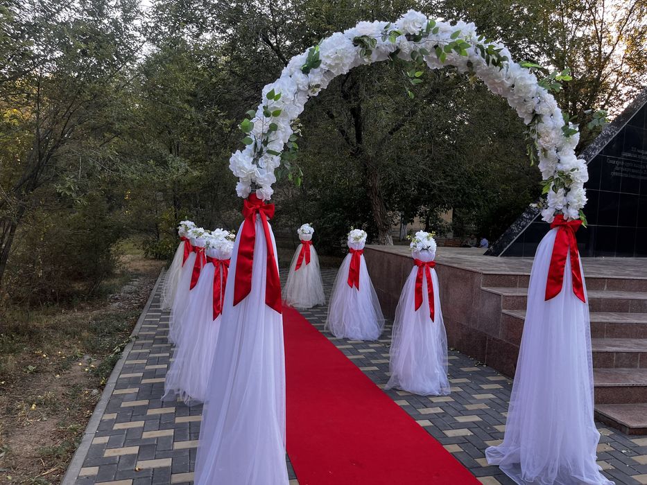 Арка Фотозона 2025