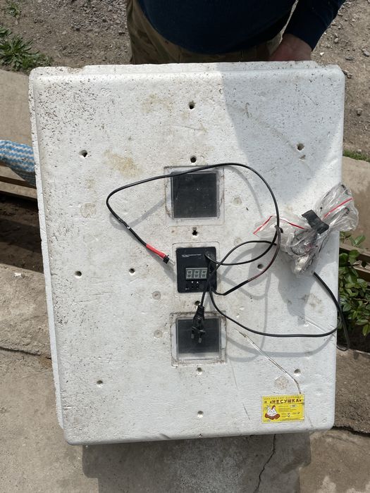 Инкубатор бытовой «Несушка»