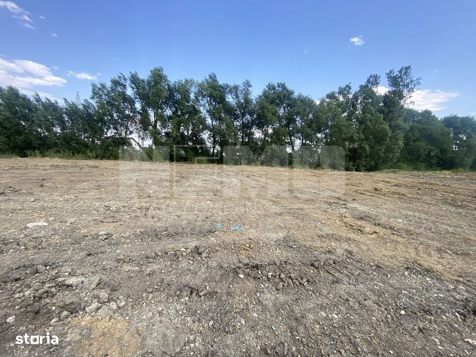 Teren intravilan | Rădăuți – Zona Tolocii | 2.000 mp | Parcelabil - Vedere 3