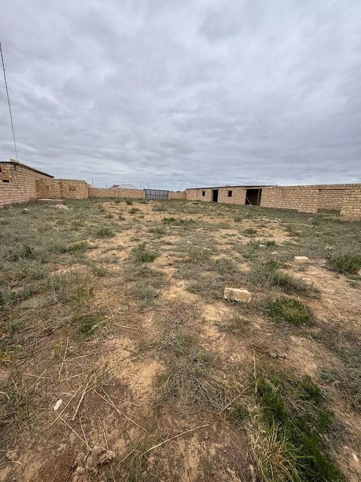 Мал бағуға қора сатылады