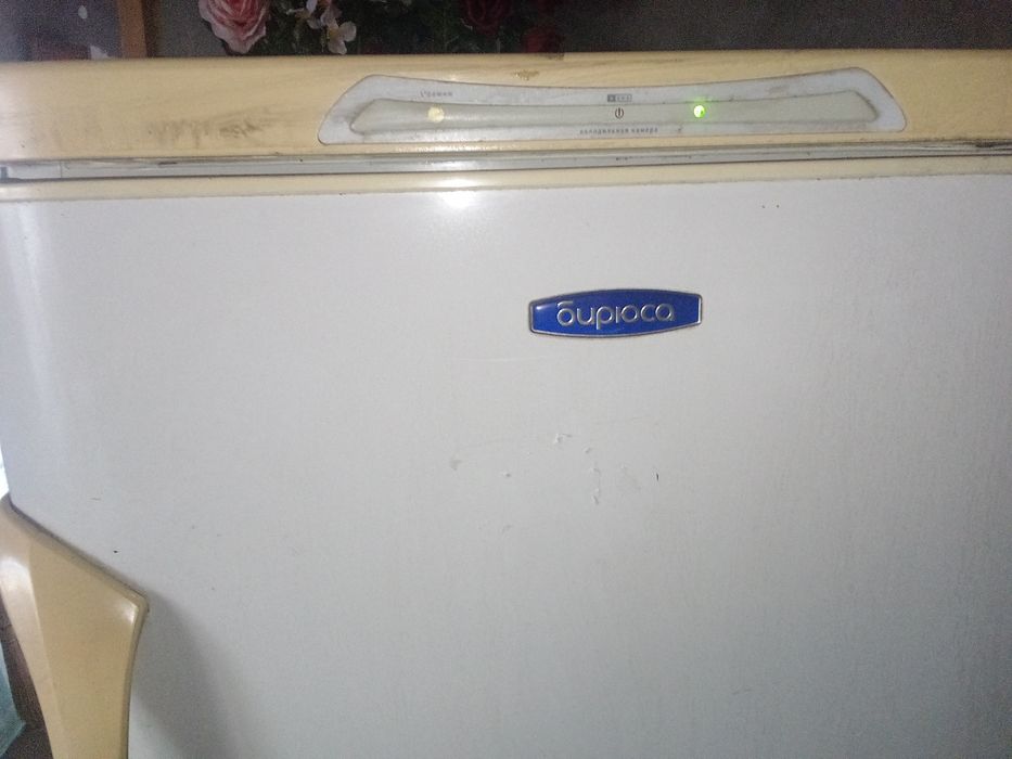 Холодильник Бирюса