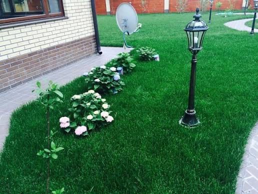 Автополив газон ландшафтный дизайн