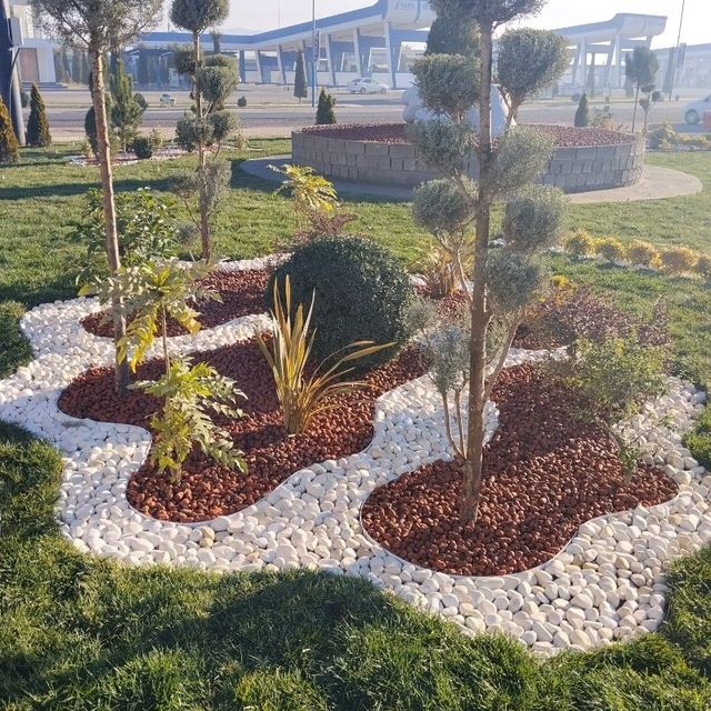 Gazon ruloni uruğ xam sepamiz landshaft dizayni xizmatlari