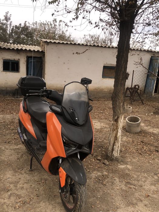 Макси Мопед