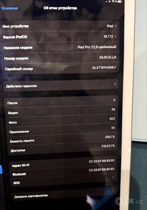 iPad Pro (12,9-дюймовый)