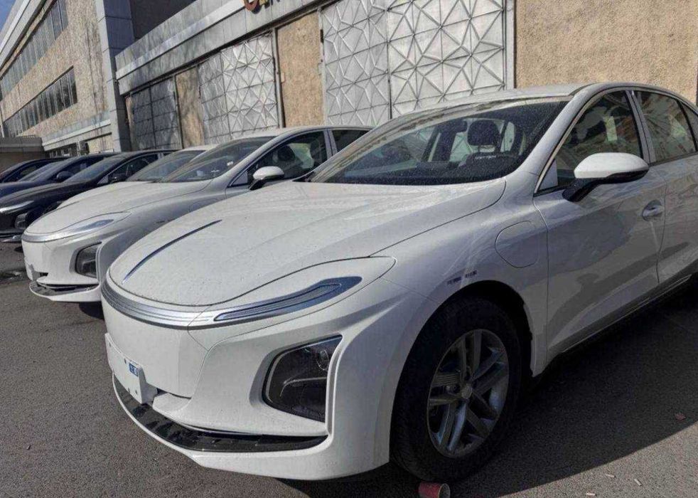 bolip berishga honji