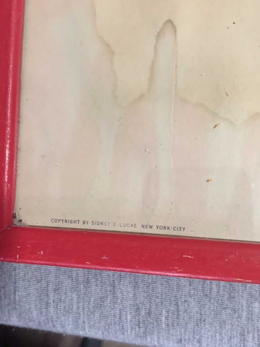 стари  три Цветни литографии Папагали Печат