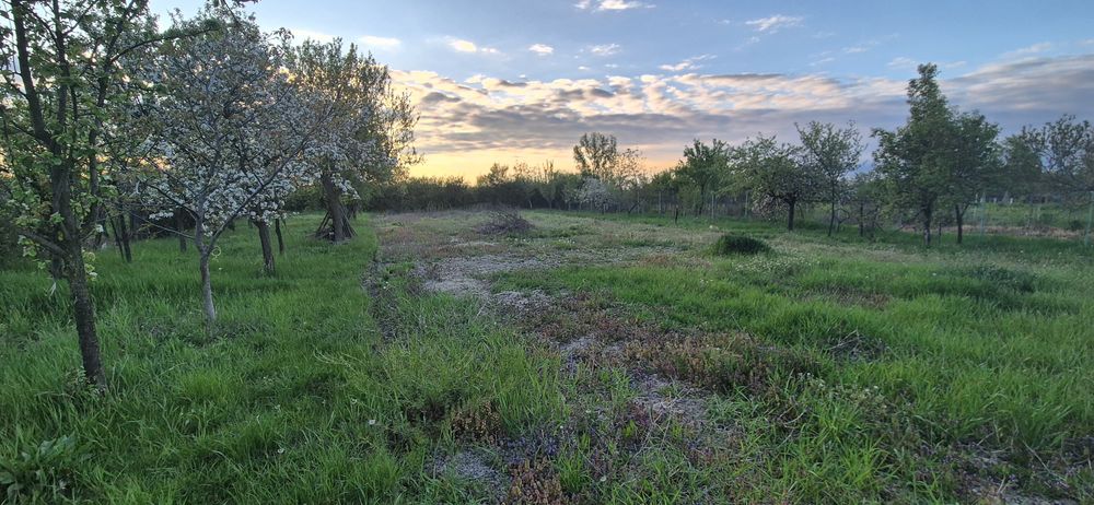 Casa de vanzare situata in Chijic