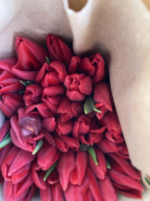 Оптом Астана самый крупный в астане