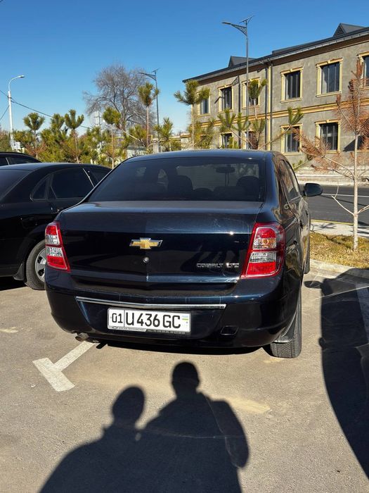 Cobalt AT 2023 kraska toza 100%