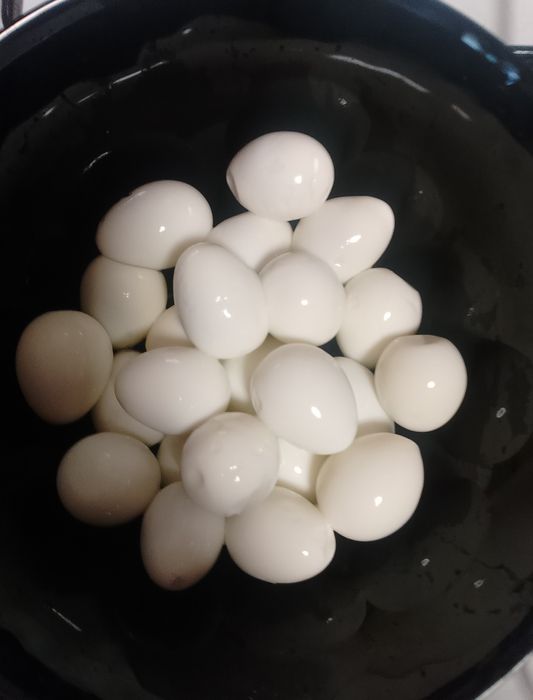 Vând oua de prepeliță