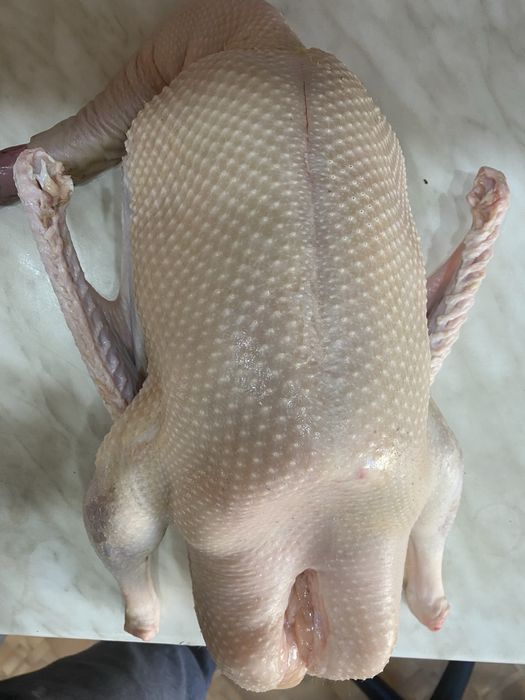 Продам мясо молодых гусей