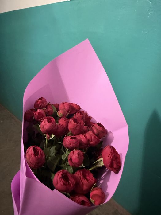 Продам цветы срочно брали сегодня
