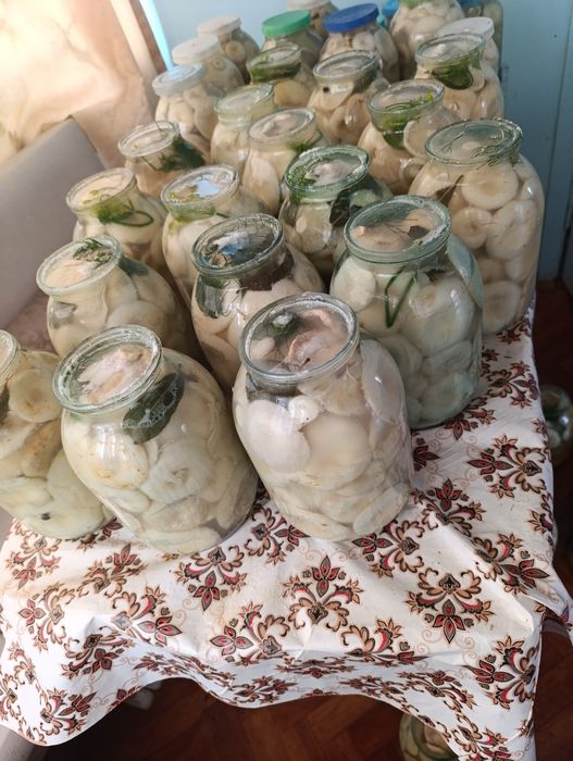 Продам грибы пряного посола