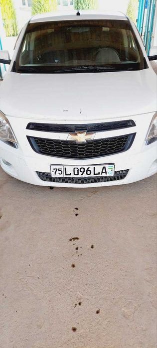 KOBLT yili 2019 Rangi oq