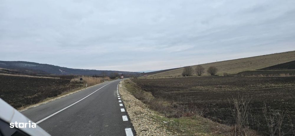 Teren 3700 mp sosea Telejna -Zapodeni