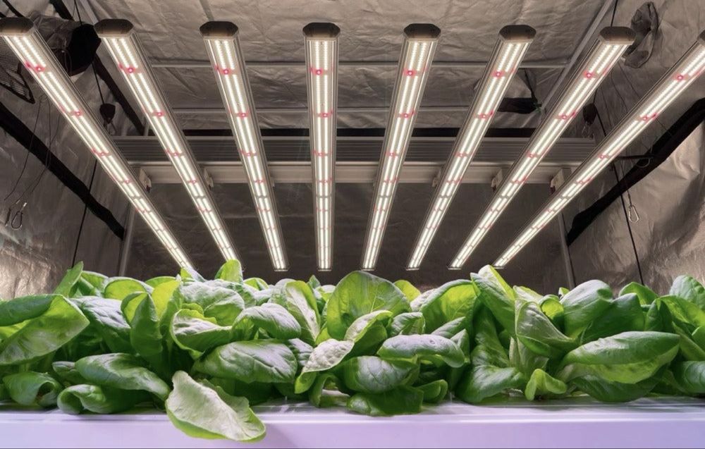 LED Grow Light Full Spectrum 320W Для Всех Видов Растений, ЛАМПА ЛЭД