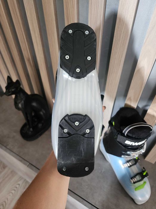 Горнолыжные ботинки