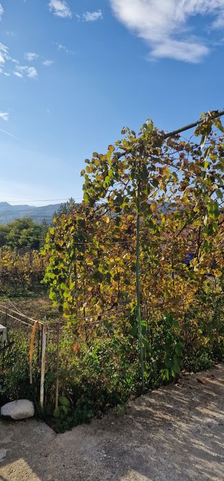 Casă de vanzare, Calimanești, județul Vâlcea