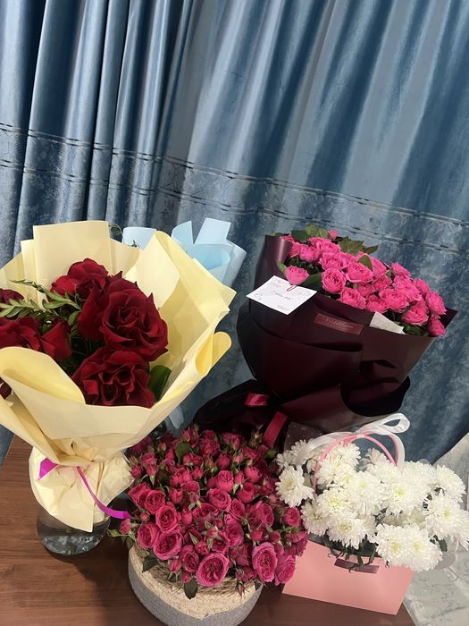 Цветы продам срочно