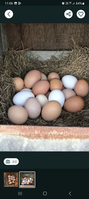 Ouă de țară cine dorește