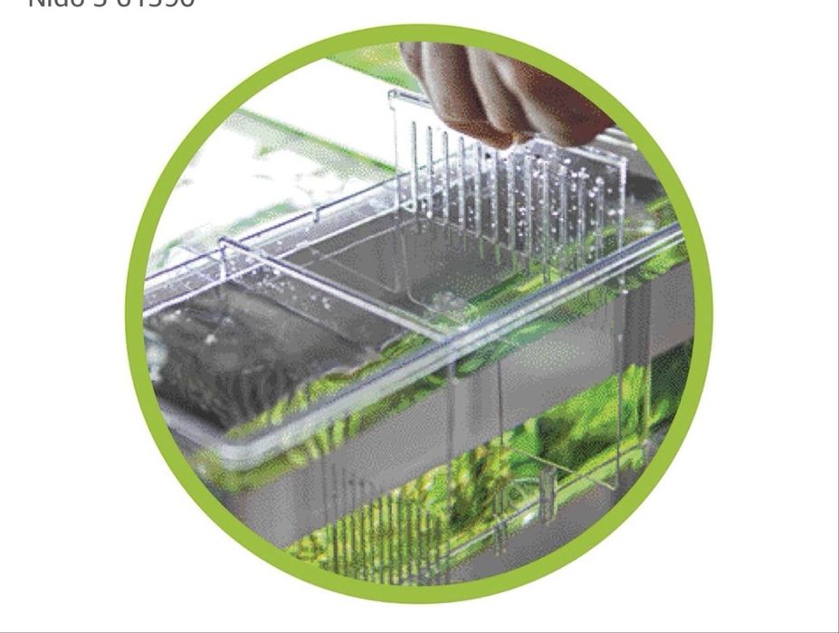 Bazin de apa acvariu  pentru ouă Hobby Nido 5