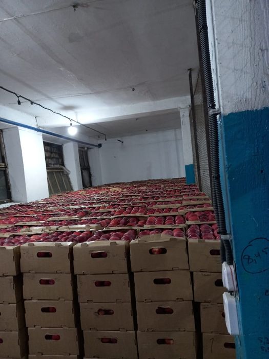 Услуги грузчиков!