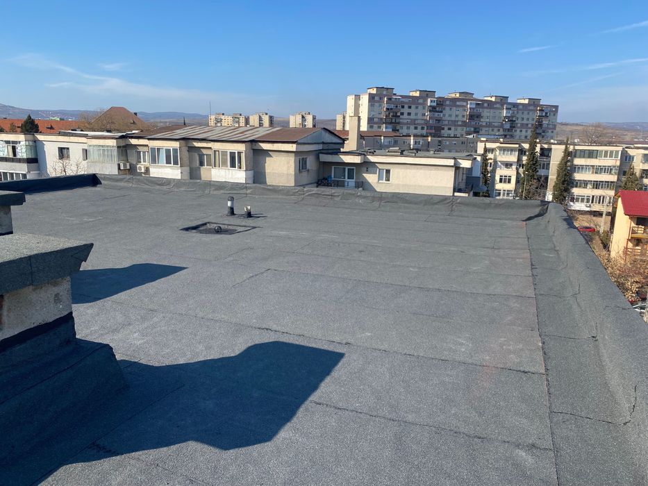 Hidroizolatii Profesionale