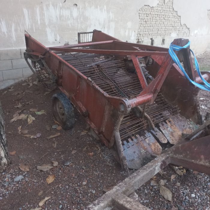 Kartoshka kólidigan sotiladi