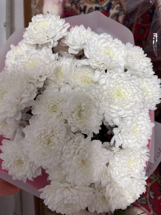 Цветы Хризантема