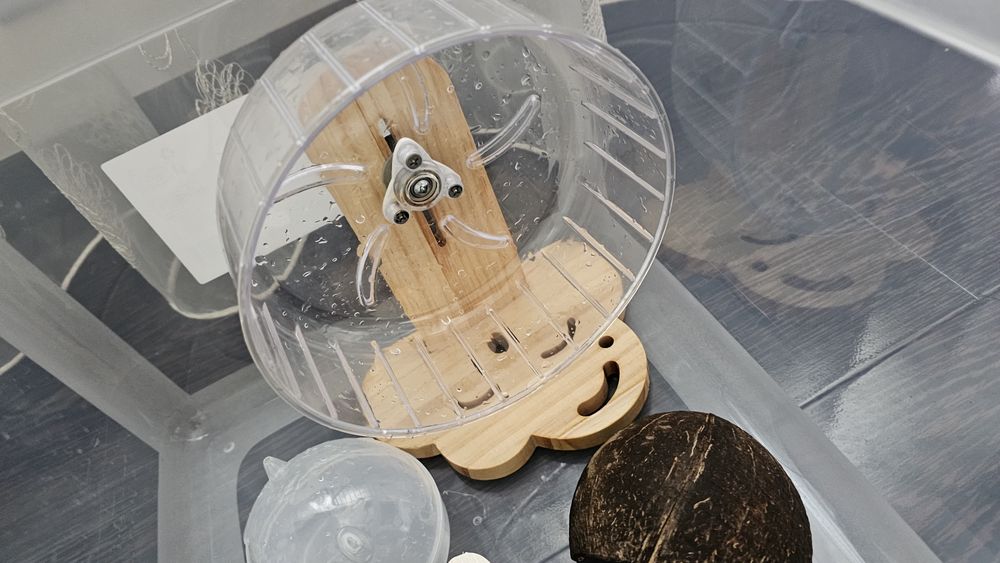 Cutie pentru Hamsteri +accesorii