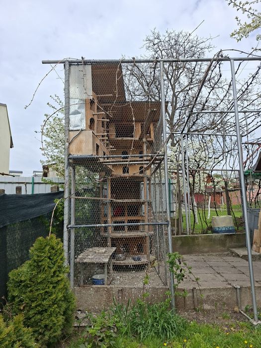 Voliera pasari de vanzare